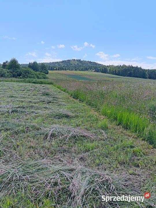 Widokowa działka budowlana 20 ar Lutcza 2000m2 podkarpackie sprzedam