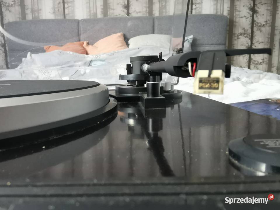 Pioneer 3F małopolskie Paszkówka