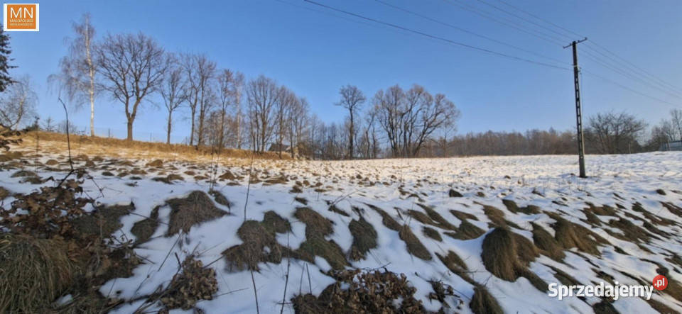 sprzedaży gruntu 1638m2 Krzywaczka