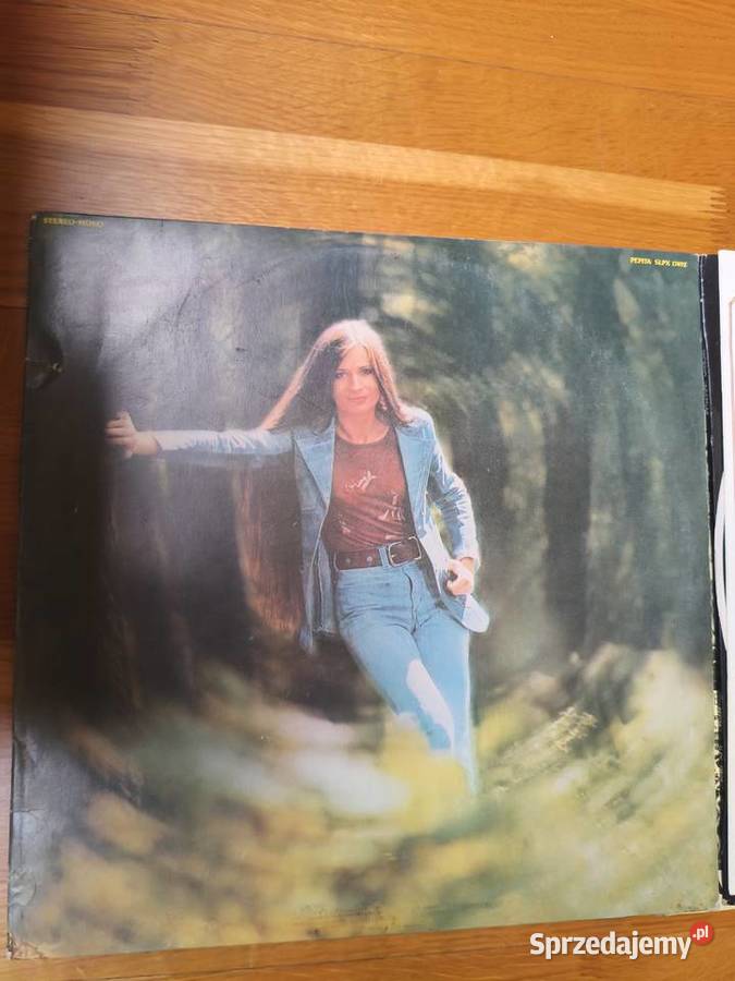 Płyty gramofonowe Gdańsk