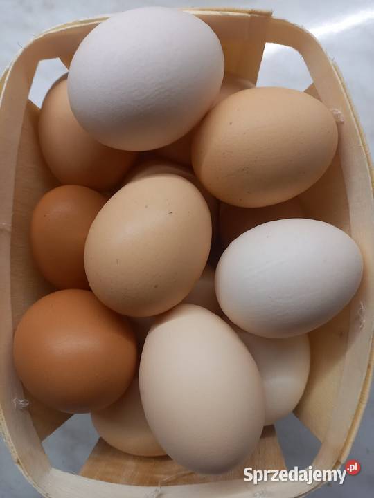 Jaja wiejskie sprzedam Skierniewice