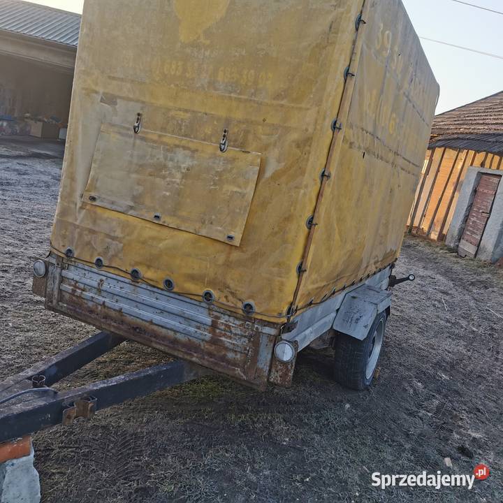 Przyczepka lekka 3m x13m plandeka stelaż Do samochodów osobowych Iwaniska