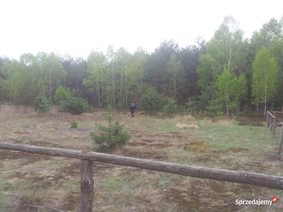 Działka Borowiec Tanwią malownicza okolica lubelskie Borowiec