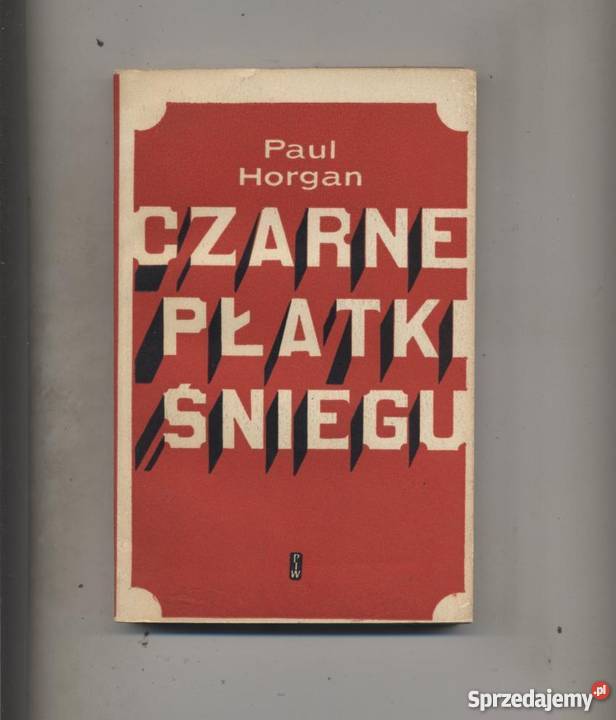 Czarne płatki śniegu Szczecin