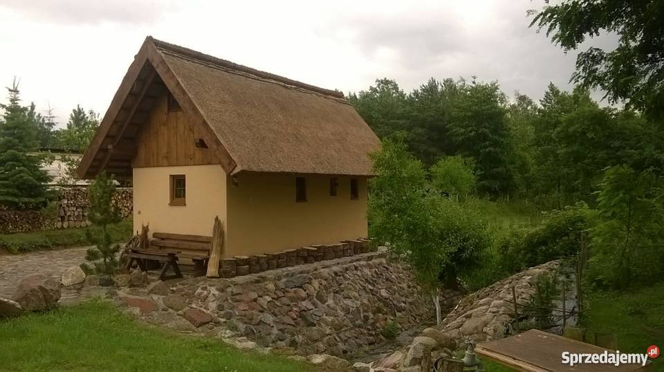 Dachy trzcinowe trzcina remont renowacja starych Stogi