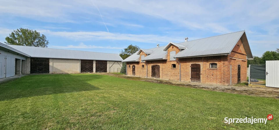 Budynki gospodarcze z dużą działką Kolonia Gołąb lubelskie Gołąb-Kolonia sprzedam