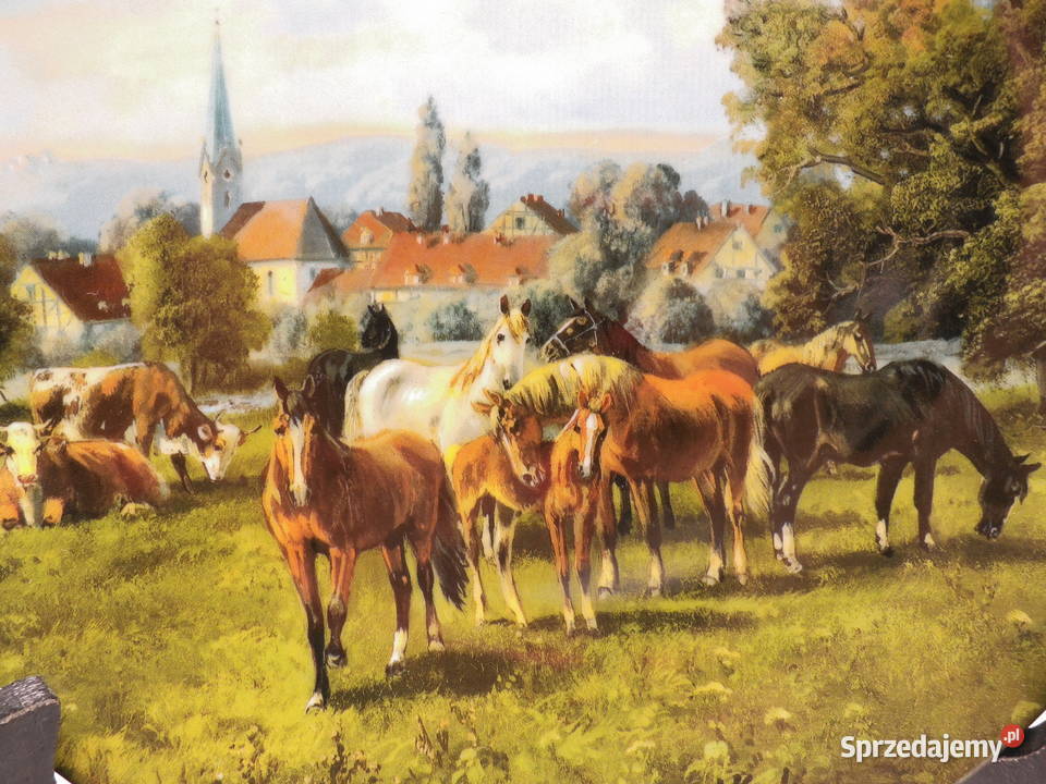 Unikatowy Talerz Kolekcjonerski Seltmann Weiden Raszków