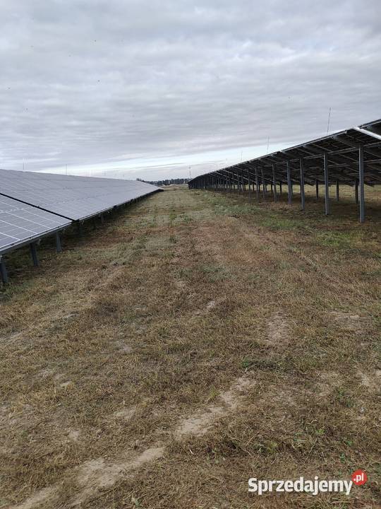Koszenie farm fotowoltaicznych nieurzytkow Bydgoszcz