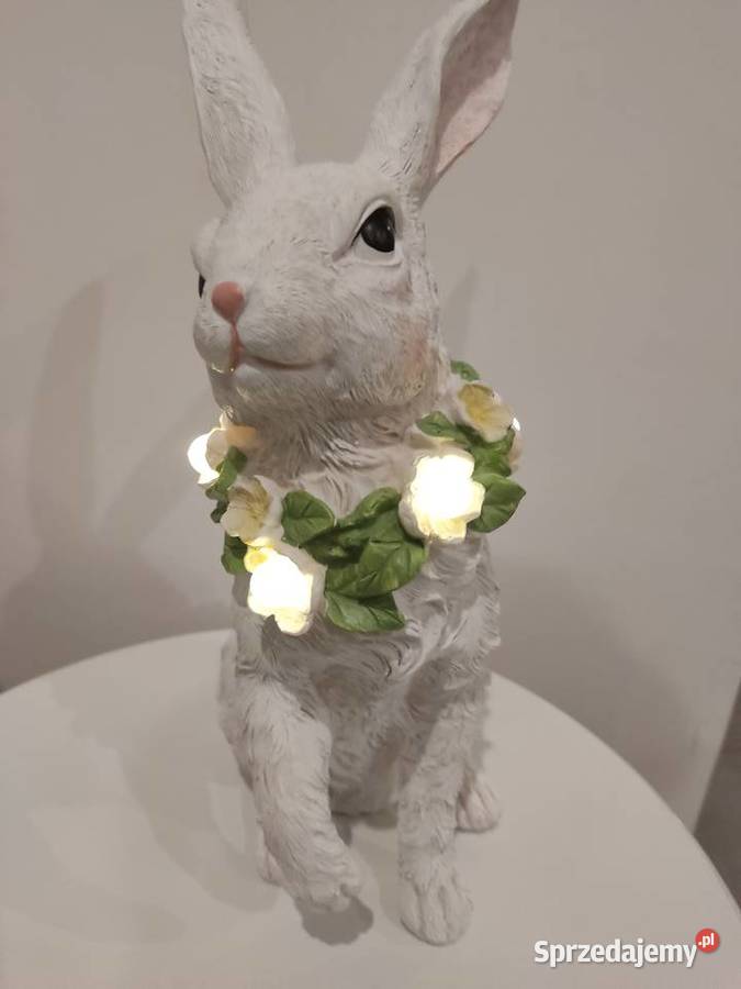 ZAJAC DUŻY PODSWIETLANY Straszęcin