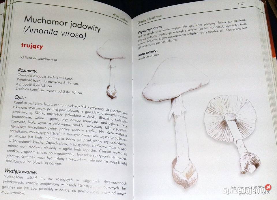 Ilustrowany atlas grzybów Emilia Grzędzicka lubelskie Chełm