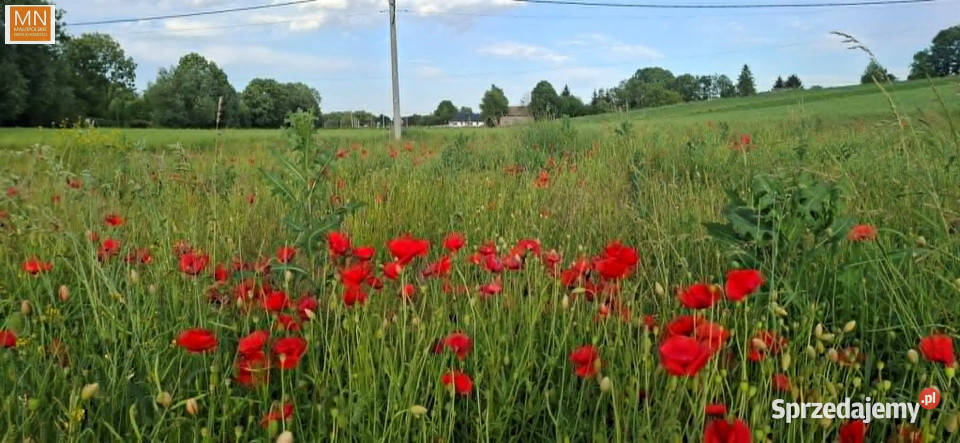 Grunt Marszowice 1000m2 1000m2 małopolskie