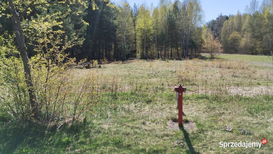 działka budowlana w Andrzejówce 4200m2 z Andrzejówka sprzedam