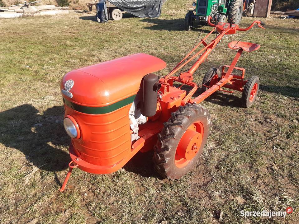 Dzik 21 lisek traktorek Zamość