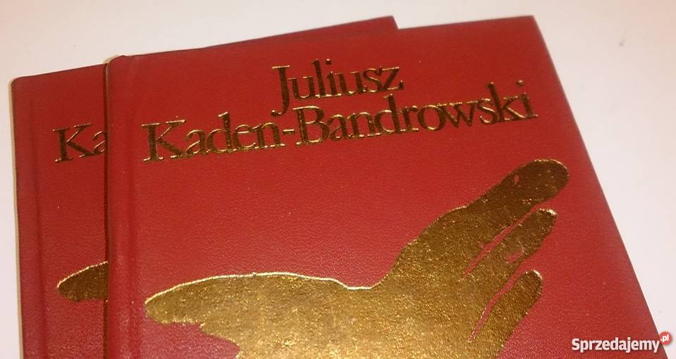 Juliusz KadenBandrowski Czarne Skrzydła 2 Tomy Kultura i Rozrywka Rogoźnik