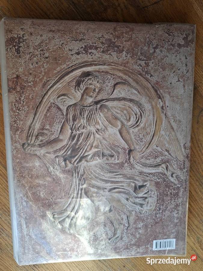 Rafael w Watykanie Nicole Dacos twarda z obwolutą