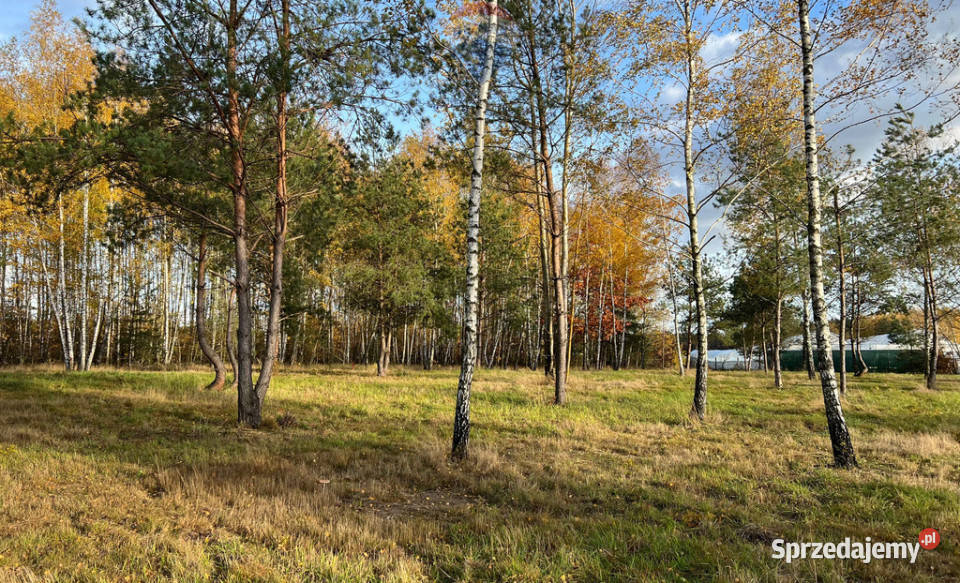 Działka budowlana 6022 Józefów gmina Pniewy