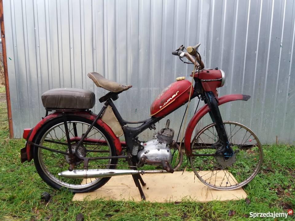 Komar sztywniak 1967 Poznań