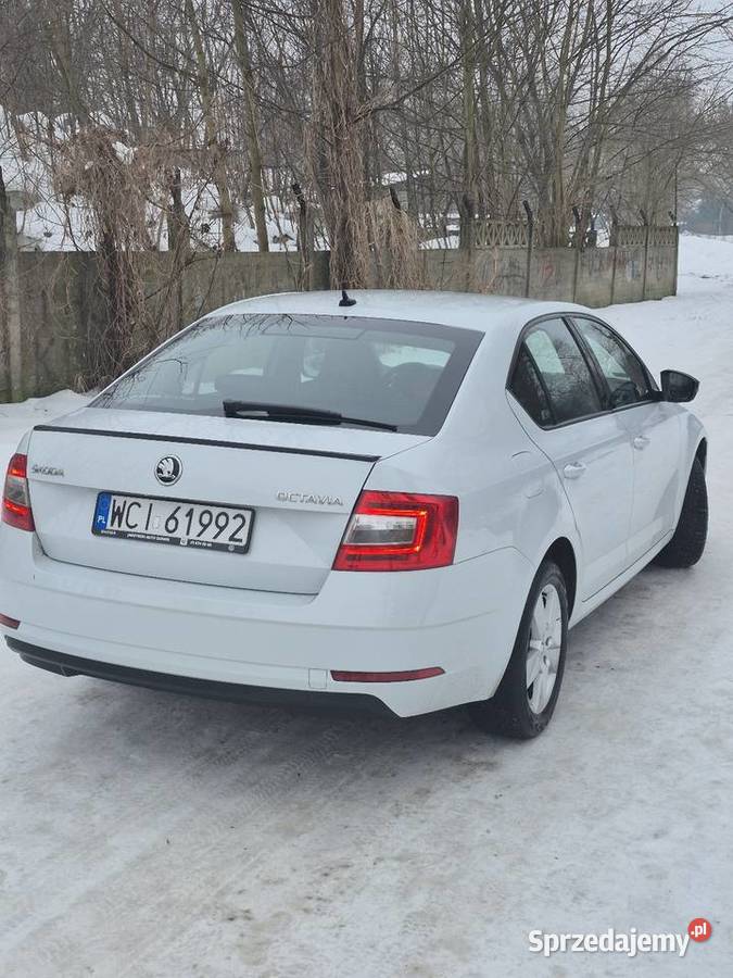 Sprzedam Skodę Oktavie 2019 15 150hp sportline serwisowany w ASO Ciechanów