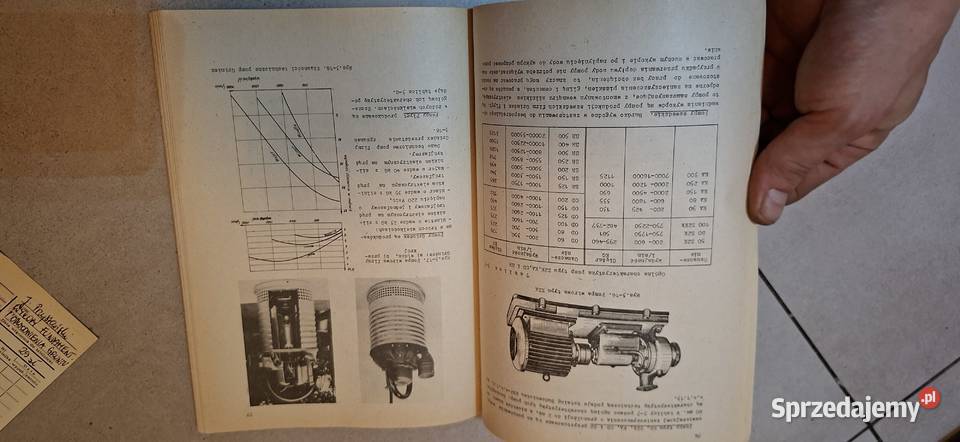 Wykopy fundamentowe i odwodnienia gruntu Łęczyca