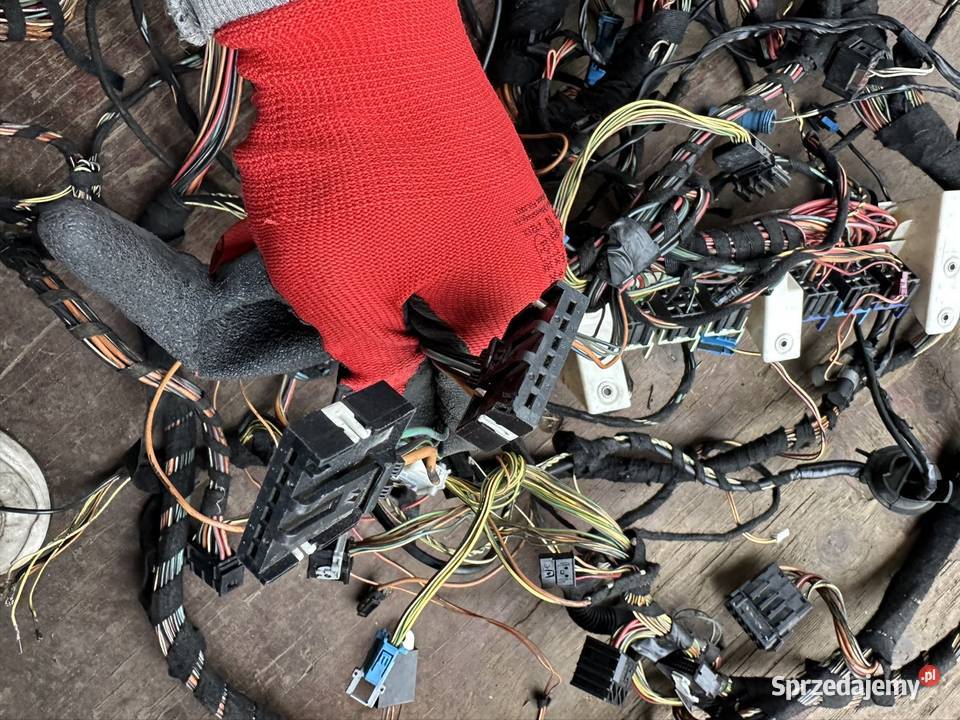 BMW X5 E53 30d Lift Instalacja wiązka kompletna osobowe Układ elektryczny, zapłon Gdańsk sprzedam