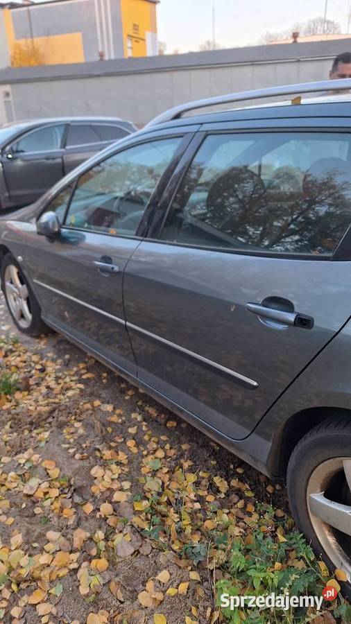 Sprzedam peugeota 407 Włocławek