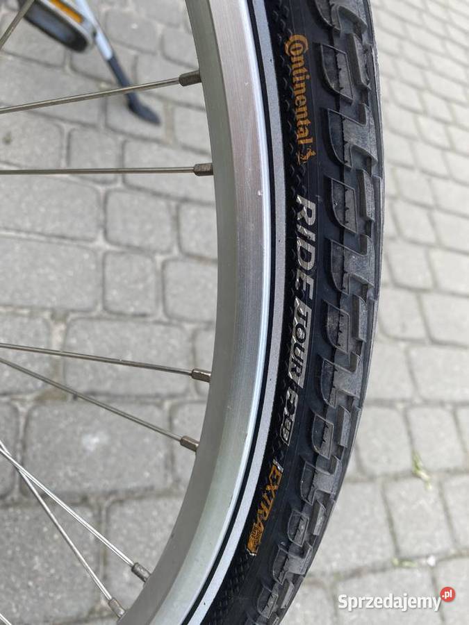 Gazelle Chamonix Sobolew