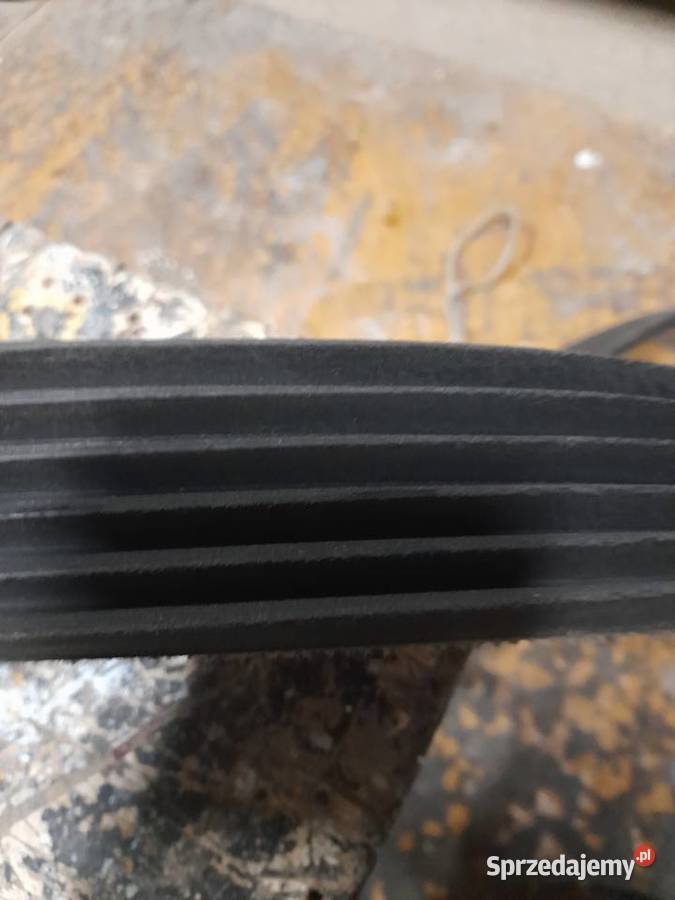 Pas klinowy sześciozespolony