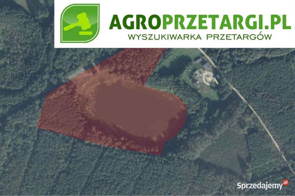Dzierżawa 193 ha akwenu wodnego Wynajem wielkopolskie Chodzież