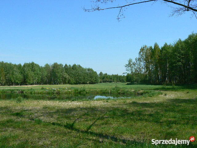 Działka Karolew gm. Gąbin Płock Sprzedajemy.pl