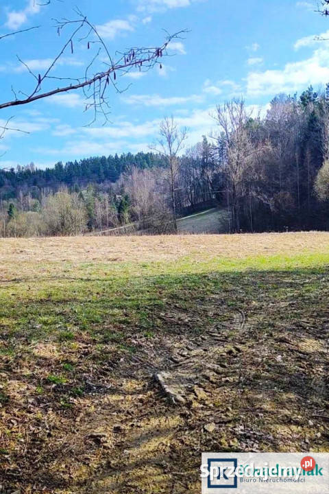 sprzedaży gruntu 3992m2 Wołkowyja podkarpackie