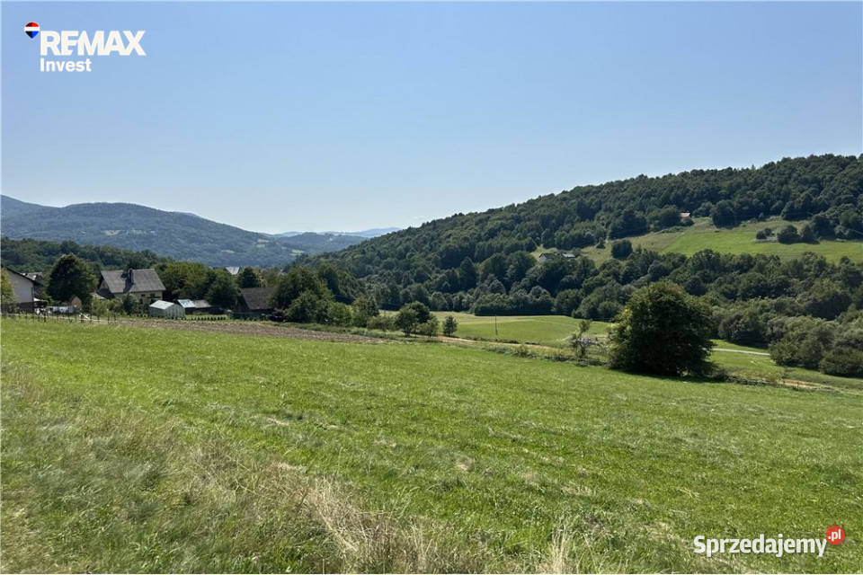 Grunty 5 400 m widok las i działka z WZ polna Młynne sprzedam