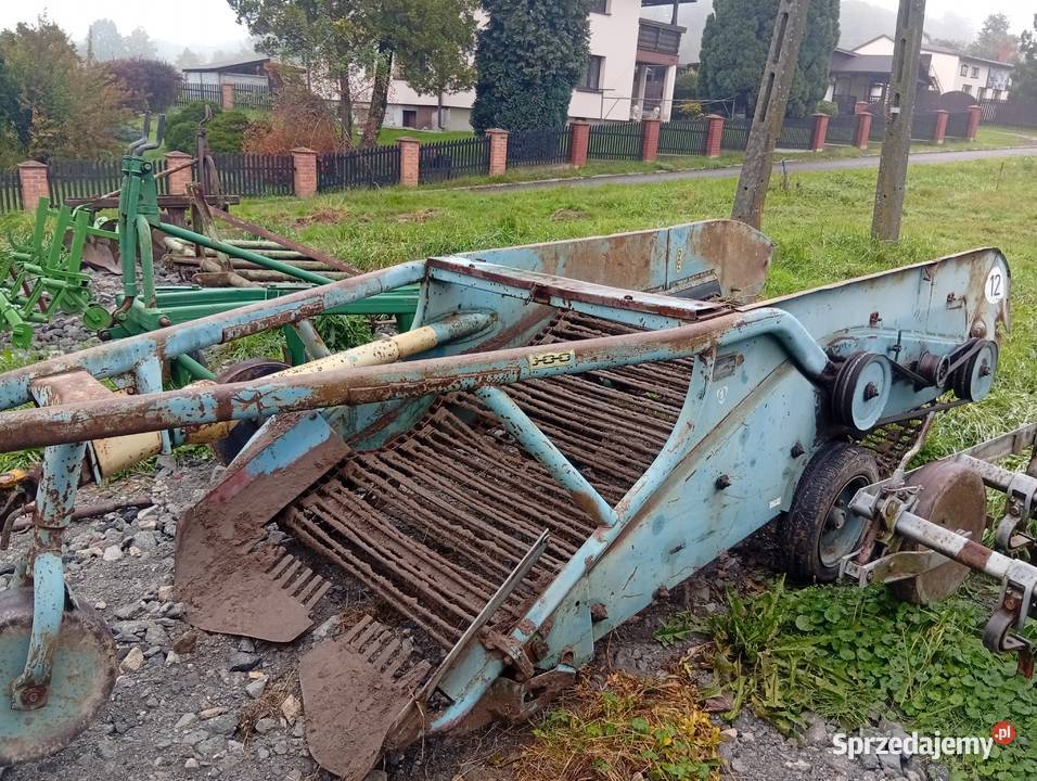 Kopaczka Elewatorowe dwurzędowa do ziemniaków Pszów sprzedam