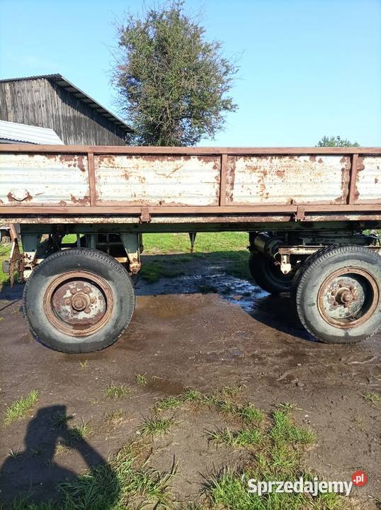 sprzedam przyczepę D732 nieuszkodzony Parczew