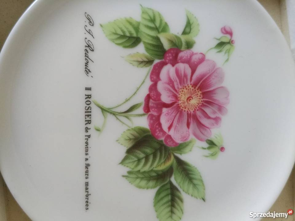 Spodki kwiaty małopolskie Ropa