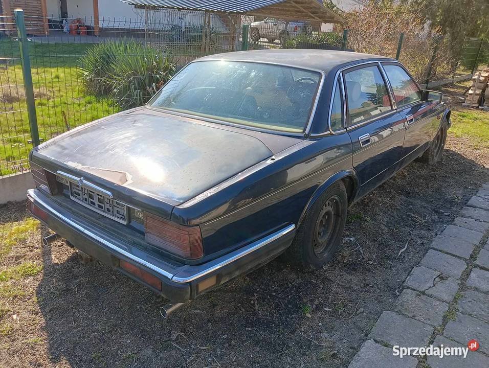 Jaguar XJ40 40 dawca organów mazowieckie