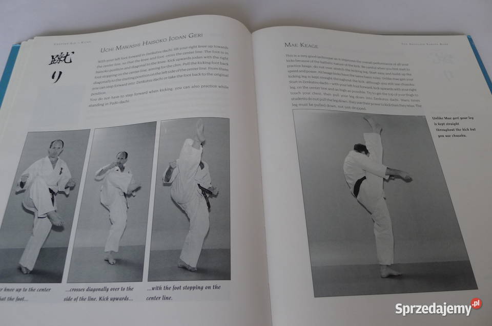COLLINS Absolute Karate Kyokushin mazowieckie Radom
