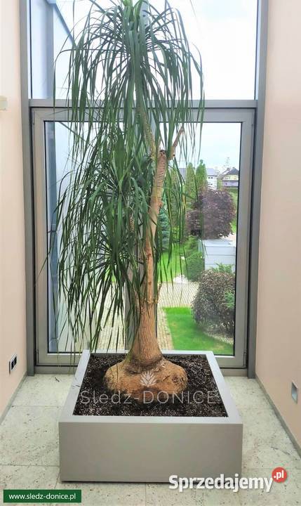 Donice ogrodowe Łódź