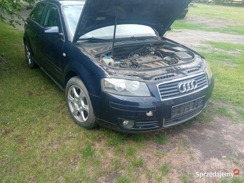 Audi A3 8P wszystkie części Chełm