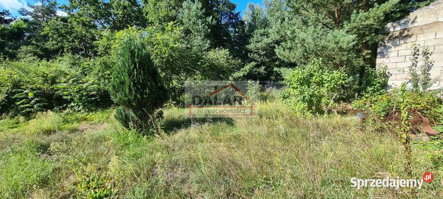 sprzedaży domu wolnostojącego 125m Kolonia Kolonia Rozniszew sprzedam