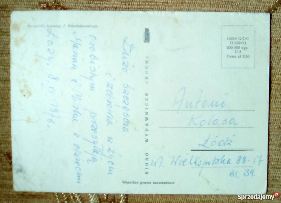 KWIATY FOT J WENDOŁOWSKI Piszczac