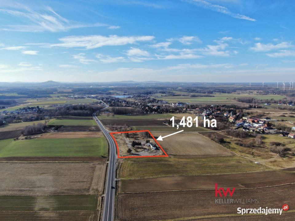 Lokal 14811m2 Trójca sprzedam