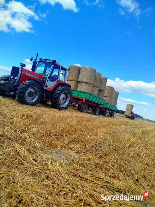 Massey Ferguson 698 lubelskie Radzyń Podlaski