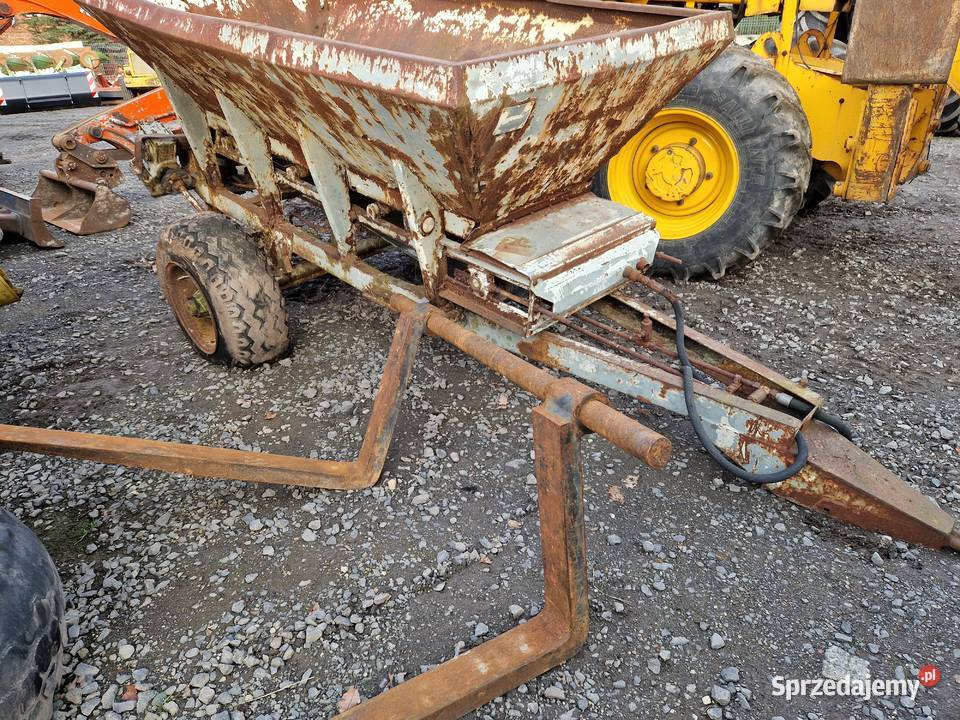 roziewacz wapna dolnośląskie