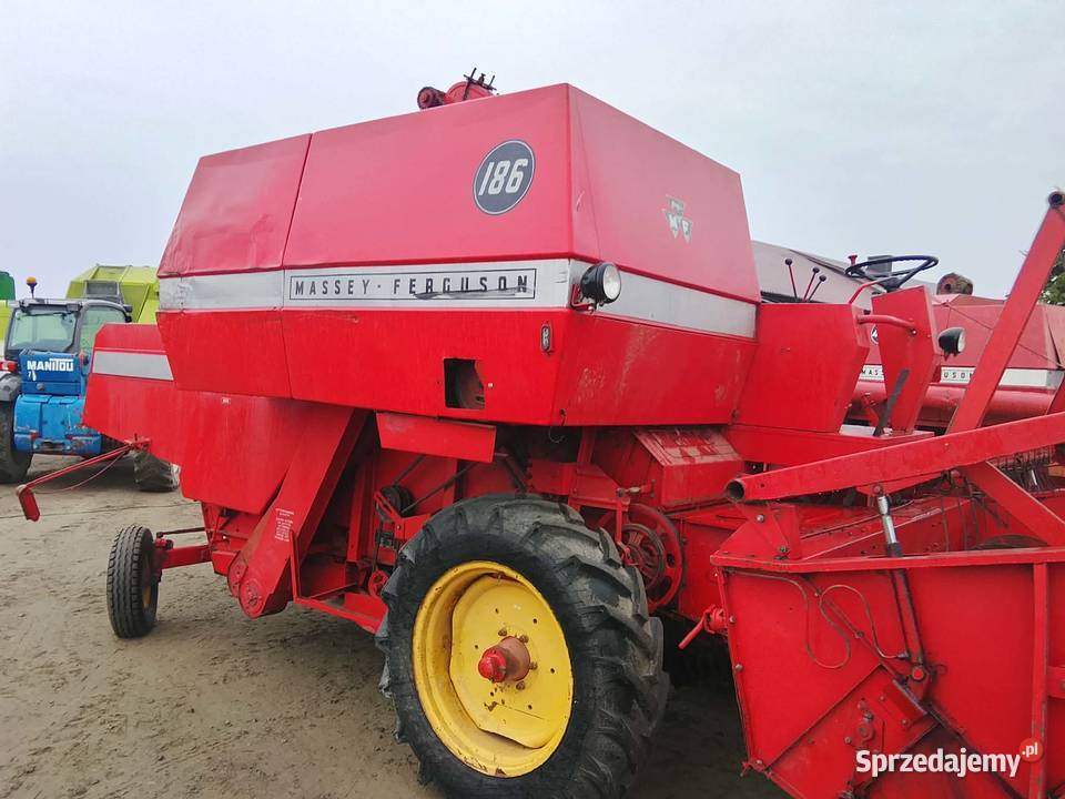 Kombajn zbożowy Massey Ferguson 186 w oryginale Massey Ferguson mazowieckie Skaryszew