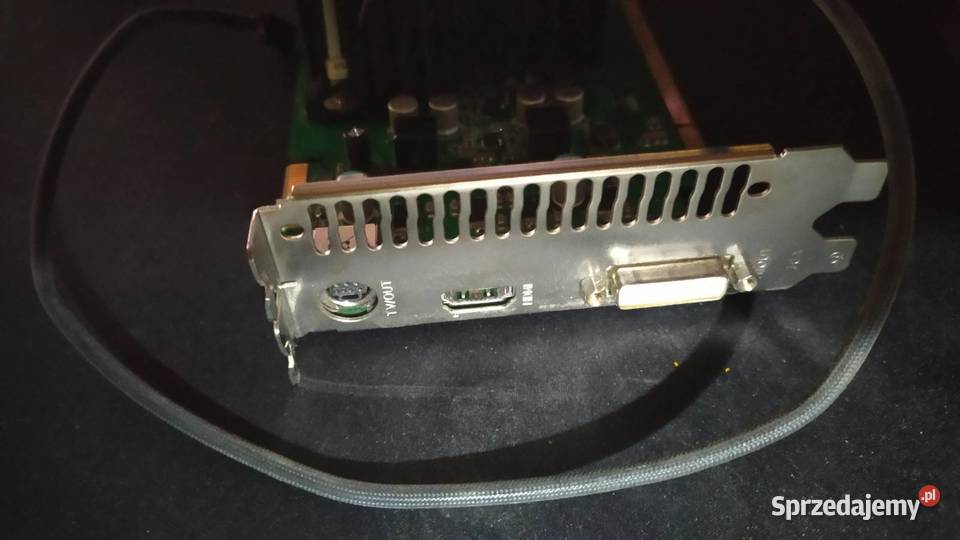 Karta graficzna GeForce 8800 GS nVidia Palit Rumia