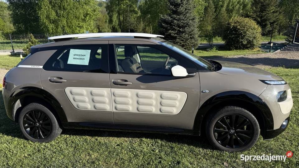 Citron C4 Cactus 12 Benzyna 82 2017r niski sprzedam