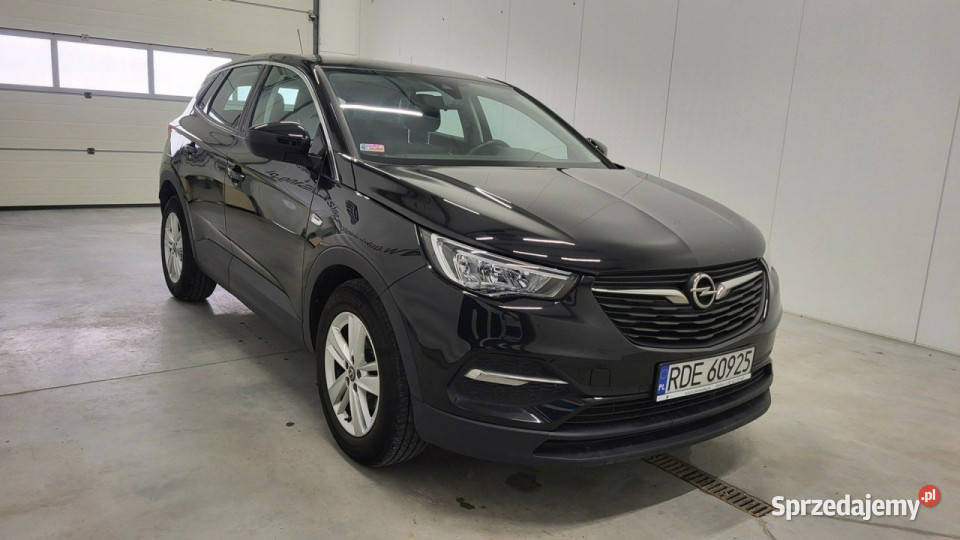 Opel Grandland X 12 T GPF Edition SS benzyna mazowieckie Grójec