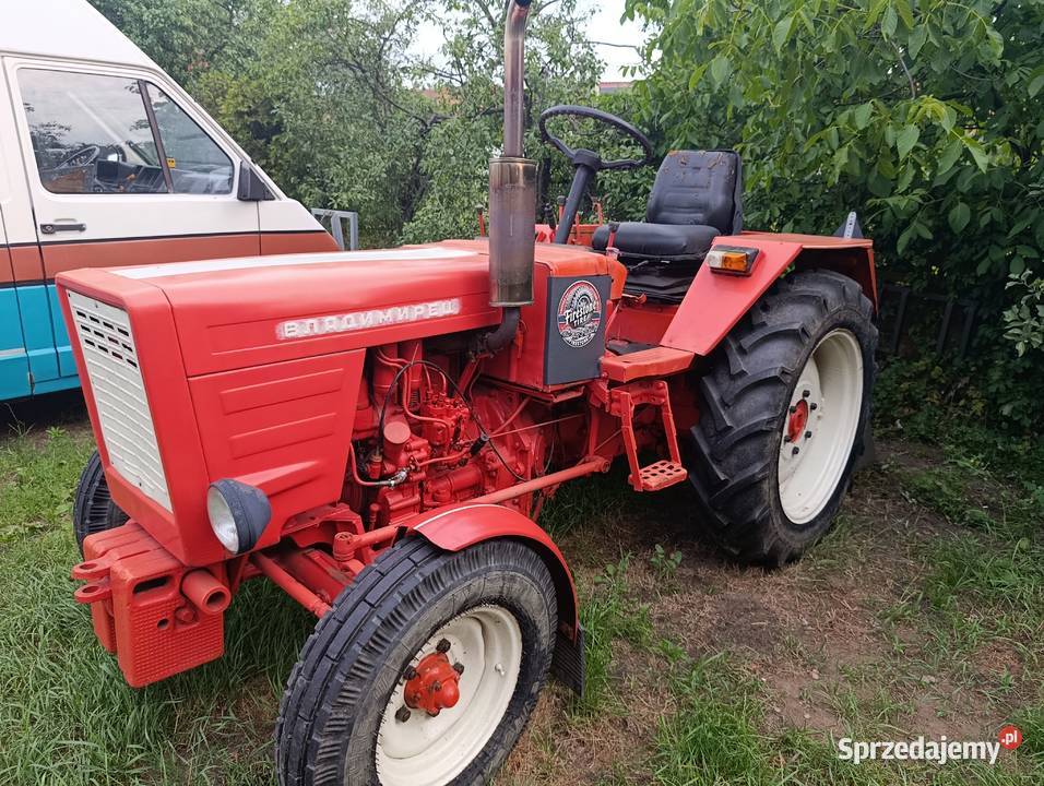 Władimirec t25 Prochowice