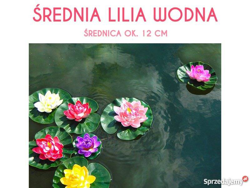 LILIA WODNA SZTUCZNA DO OCZKA WODNEGO STAWU Baseny i oczka wodne kujawsko-pomorskie