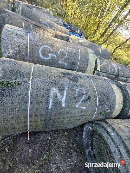 Sztuczną trawa Trawy Przęsławice